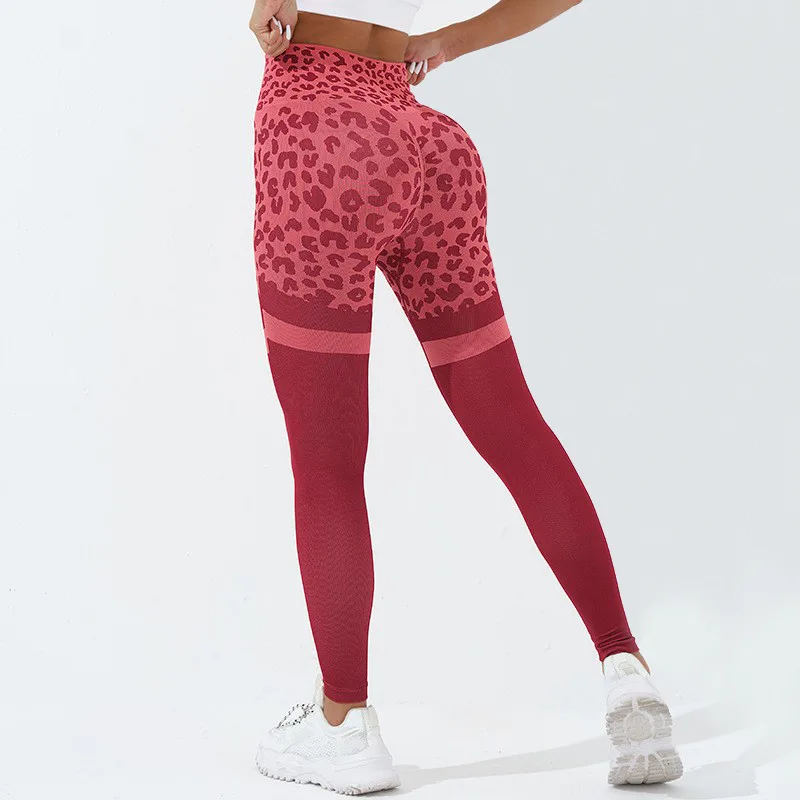 Leopard Print Seamless Legging